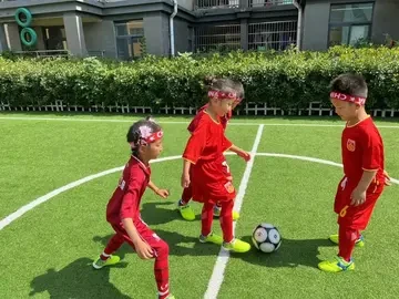 如何根据体型制定个性化的篮球训练方案_1